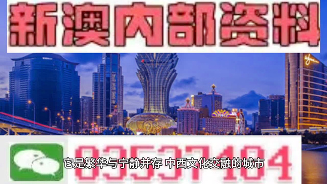 澳門資料大全——正版資料的深度解析，澳門資料大全深度解析，正版資料獨家解讀