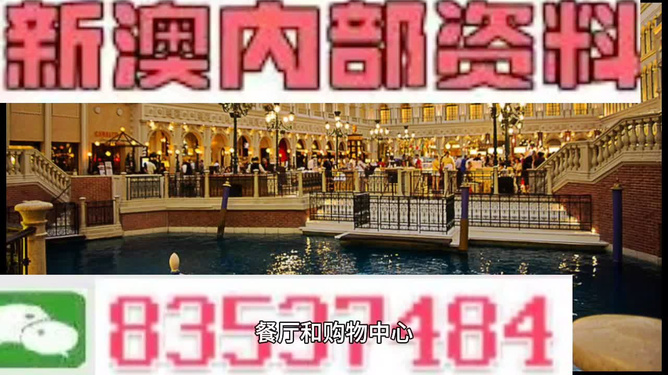 新門內(nèi)部資料精準(zhǔn)大全，新門內(nèi)部資料精準(zhǔn)大全揭秘