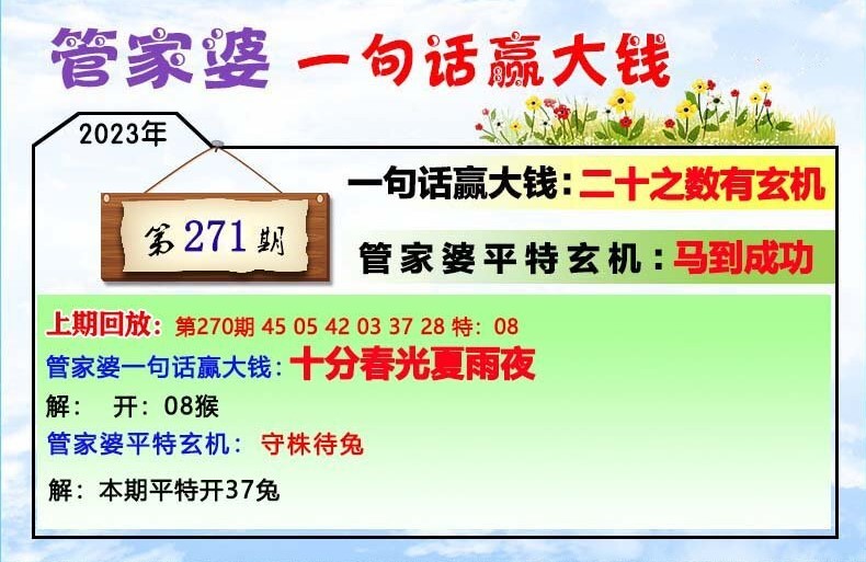 揭秘202管家婆一肖一碼，解碼神秘?cái)?shù)字的魅力，揭秘神秘?cái)?shù)字魅力，解碼管家婆一肖一碼的秘密