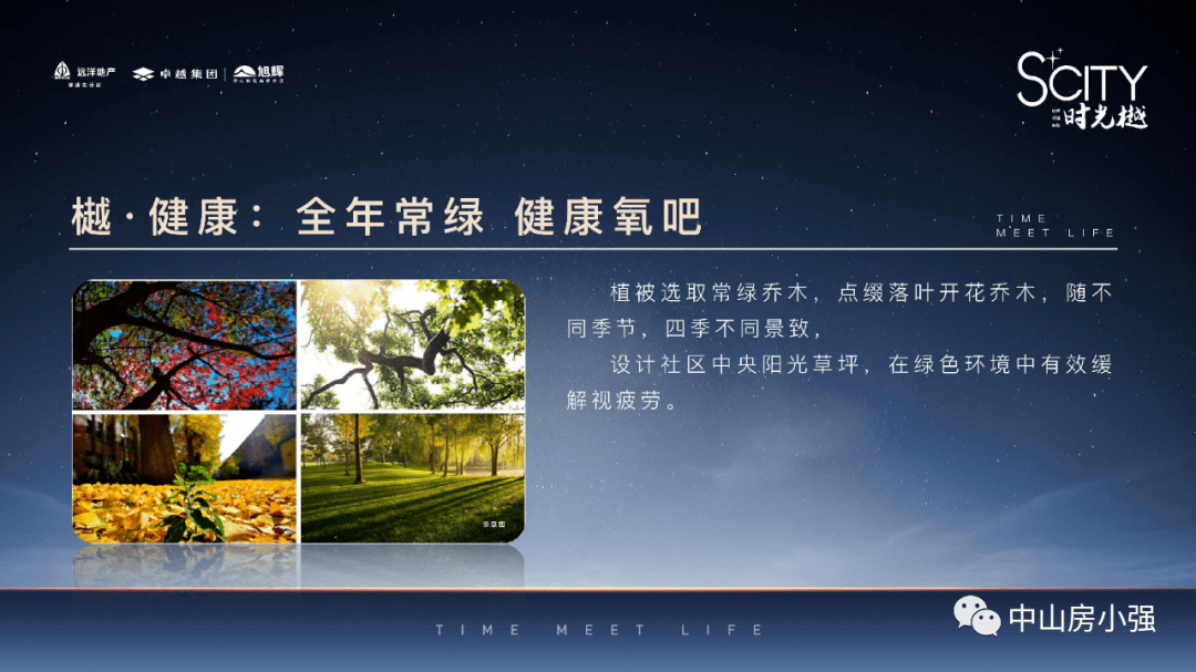 2025年新澳門開獎記錄,實踐策略實施解析_21