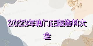2025年澳門正版資料大全公開，探索與揭秘，澳門正版資料大全揭秘，探索2025年澳門公開信息