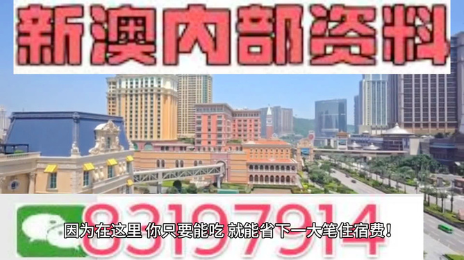 澳門最準的資料免費公開——深入了解澳門的多元魅力，澳門多元魅力深度解析，免費公開最準資料