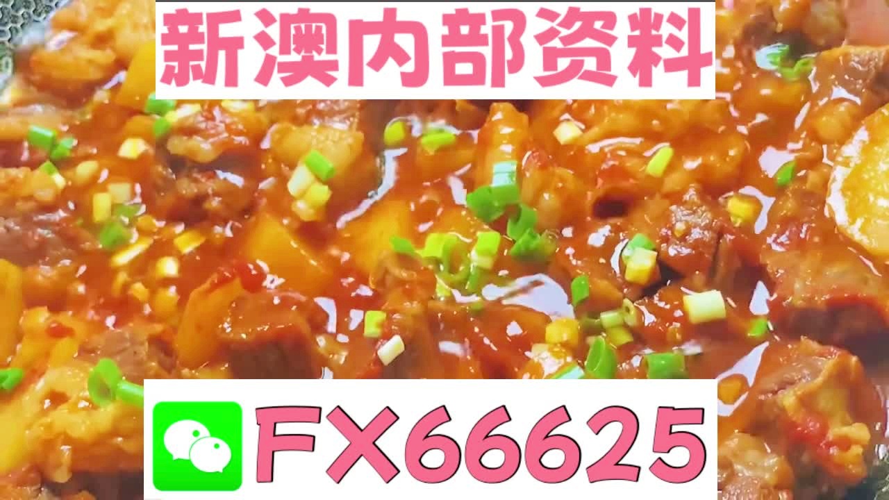 新奧門(mén)資料大全正版資料六肖——深度解析與探索，新奧門(mén)正版資料六肖深度探索與解析