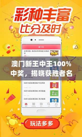 揭秘新澳門王中王，100%期期中背后的秘密，揭秘新澳門王中王期期中秘密大揭秘