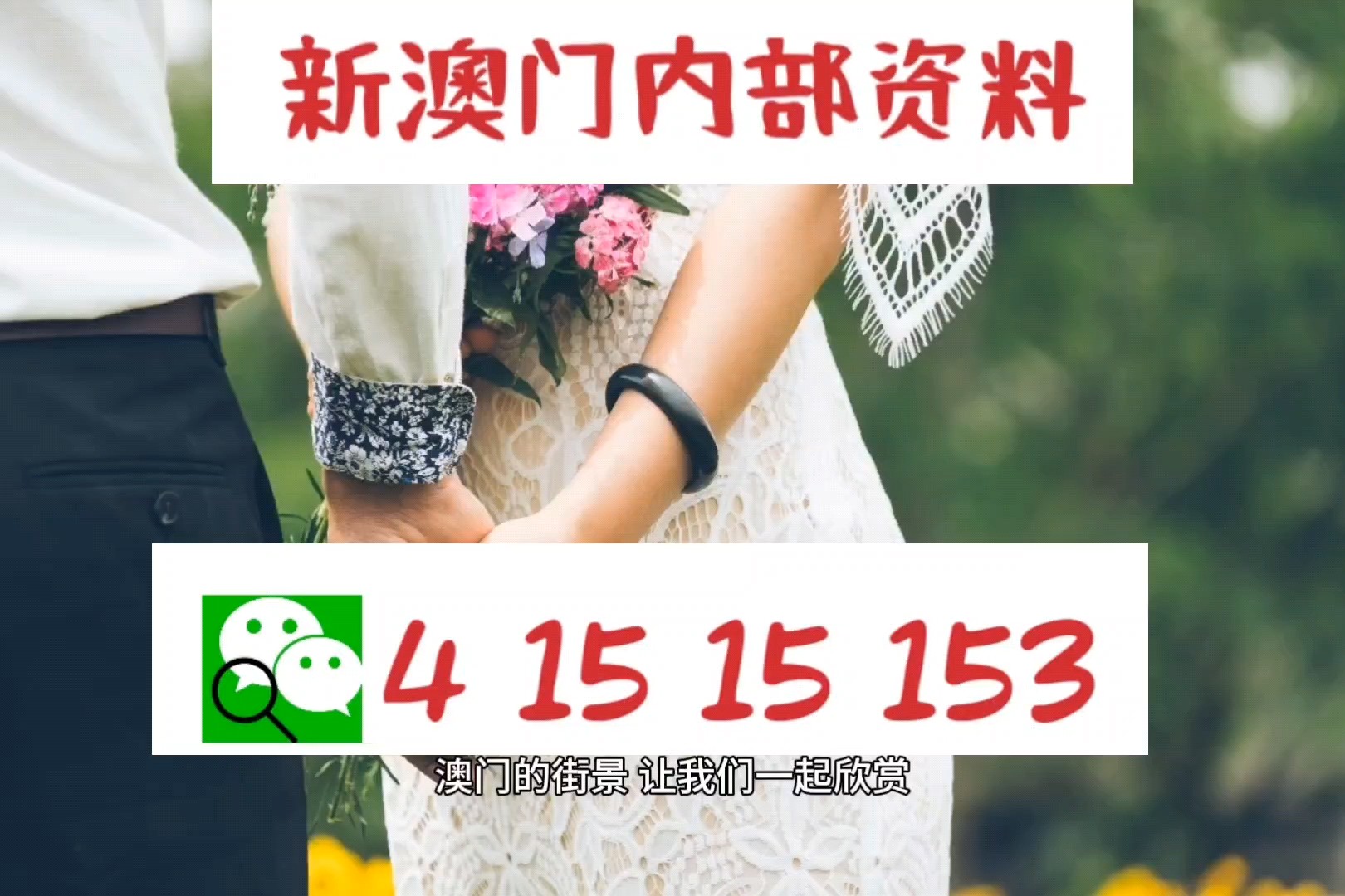 新澳新澳門正版資料，新澳新澳門正版資料概覽