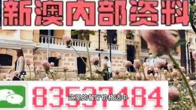 澳門最精準免費資料大全旅游團——探索澳門魅力的絕佳選擇，澳門旅游團，探索澳門魅力的精準免費資料大全