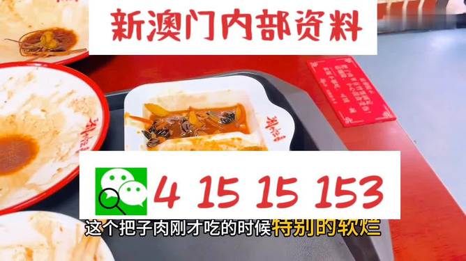 澳門王中王六碼新澳門，揭秘彩票背后的故事，澳門王中王六碼揭秘，彩票背后的故事探索