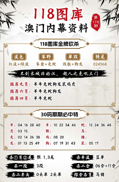 新澳門今晚特開什特肖,功能性操作方案制定_34