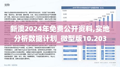 2025新澳精準(zhǔn)免費(fèi)大全,動(dòng)態(tài)評(píng)估說(shuō)明_6