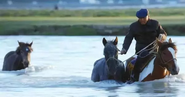 今晚澳門特馬開什么今晚四不像，澳門特馬今晚開獎(jiǎng)結(jié)果及四不像分析