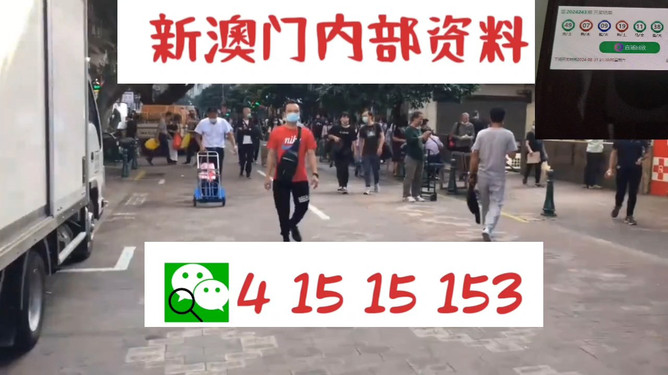揭秘77778888管家婆老家必中之謎，一網(wǎng)打盡的背后故事，揭秘77778888管家婆，老家必中之謎的背后真相一網(wǎng)打盡