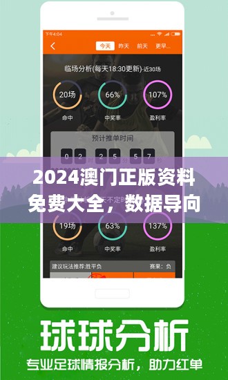 2025澳門(mén)免費(fèi)資料,正版資料，澳門(mén)正版資料2025年免費(fèi)版揭秘
