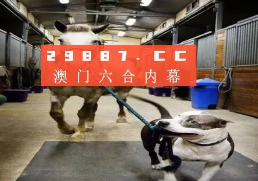 澳門一肖一碼一必中，同舟共濟向前行，澳門一肖一碼必中，同舟共濟向前行