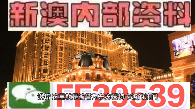 探索未來，2025年澳門特馬之夜，探索未來，澳門特馬之夜 2025展望
