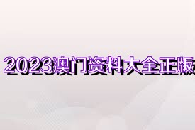 2025年是澳門正版資料大全，澳門正版資料大全 2025年概覽