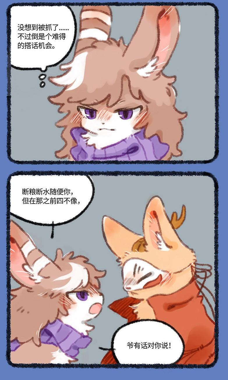四不像的神秘面紗，今晚必中一肖揭秘，四不像神秘面紗揭曉，今晚生肖揭秘一探究竟