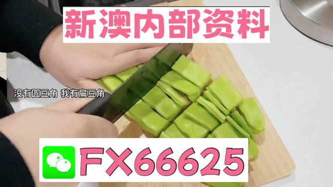 新澳精準資料大揭秘，免費提供的背后故事，新澳精準資料揭秘，免費背后的故事