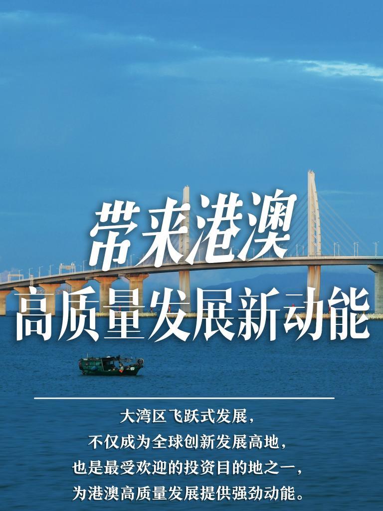 2025新澳門精準(zhǔn)免費(fèi)大全，澳門最新精準(zhǔn)免費(fèi)資料大全（2025版）