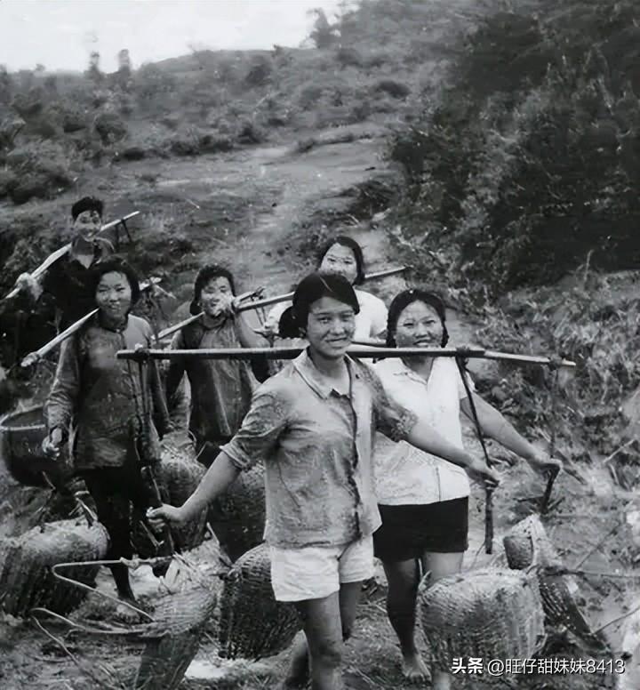 免費(fèi)下載49圖庫，海量美圖資源一網(wǎng)打盡，海量美圖資源免費(fèi)下載，49圖庫一網(wǎng)打盡