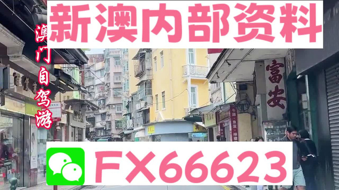 新澳精準資料大放送，免費提供的價值寶藏，新澳精準資料大放送，免費價值寶藏揭秘