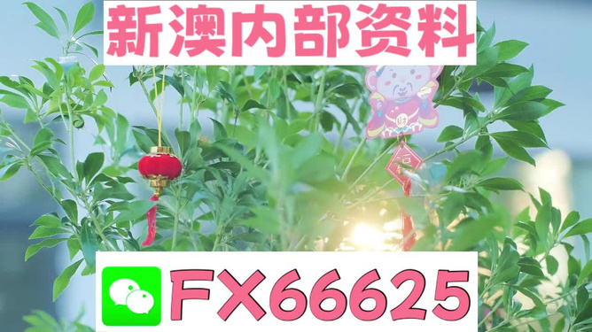 新澳精準資料免費提供網(wǎng)站，新澳精準資料免費分享平臺