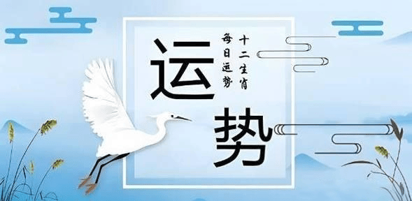 2025新澳精準資料大全，2025新澳精準資料大全手冊