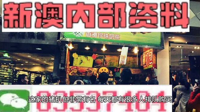 2025新澳精準資料大全，2025新澳精準資料大全手冊