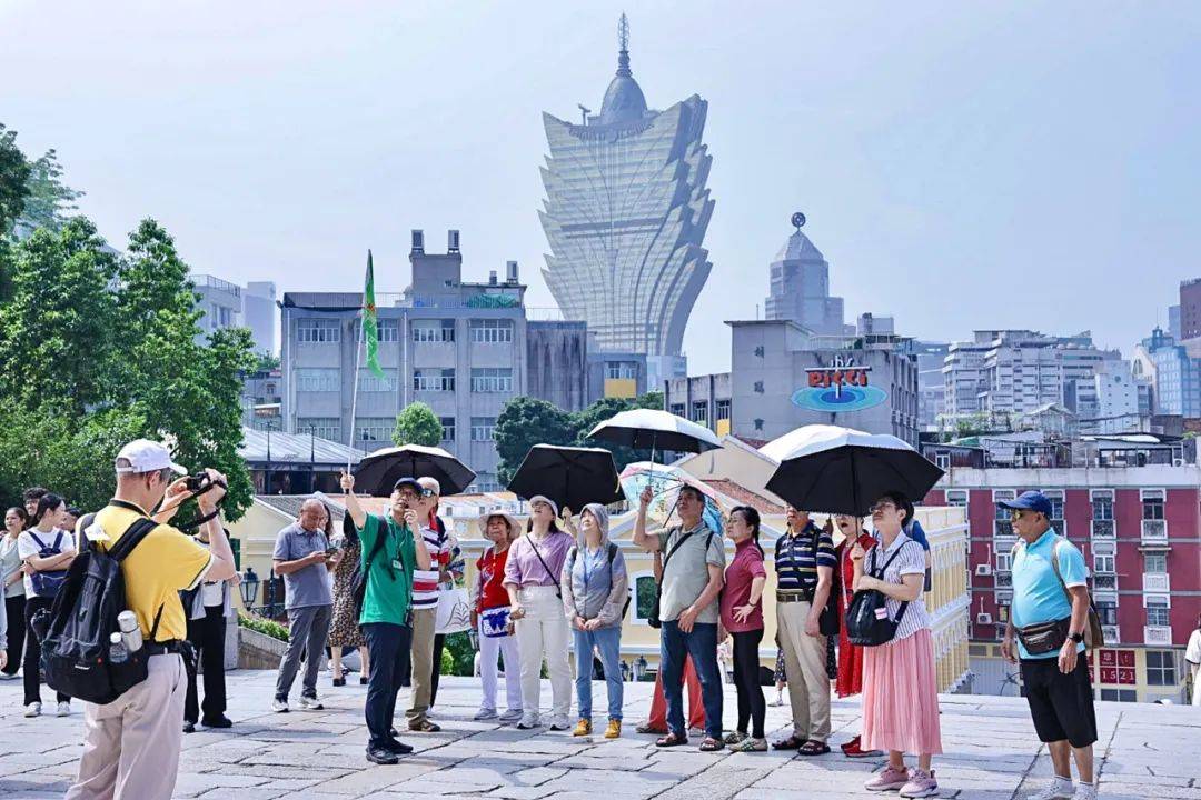 澳門最精準免費資料大全旅游團，一站式旅游體驗新標桿，澳門旅游團一站式體驗，精準免費資料大全，開啟全新旅游標桿之旅