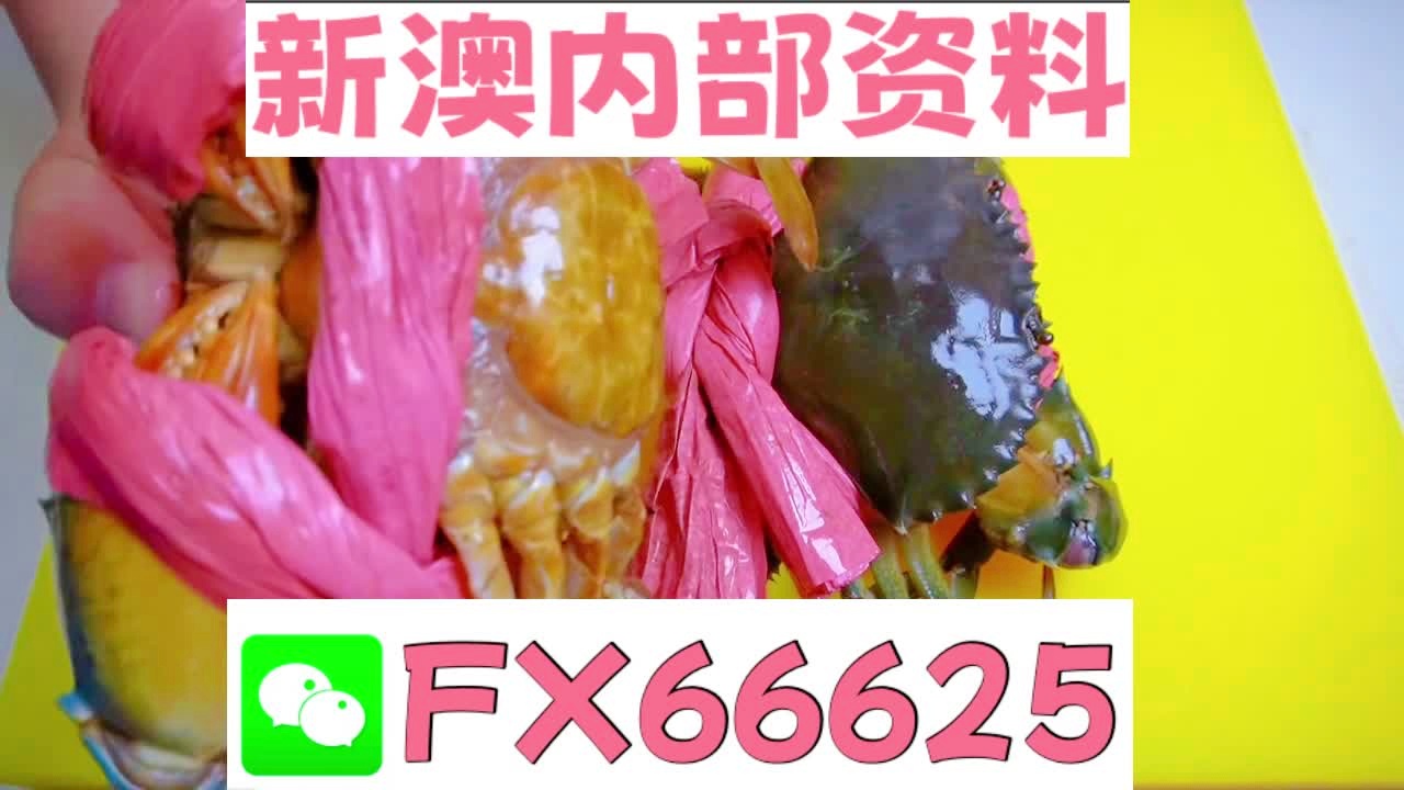 揭秘2025新澳精準(zhǔn)資料大全，深度解析與概述，揭秘2025新澳精準(zhǔn)資料大全，深度解析與全面概述