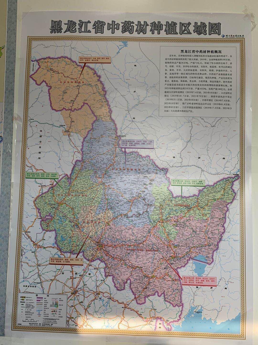 2025年香港正版資料免費大全，香港正版資料免費大全，探索未來的秘密（2025版）