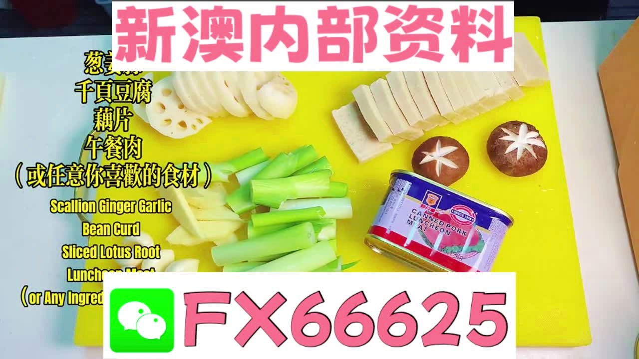 『深度解析』，2025新澳精準(zhǔn)資料大全詳解，深度解析，2025新澳精準(zhǔn)資料大全詳解與指南
