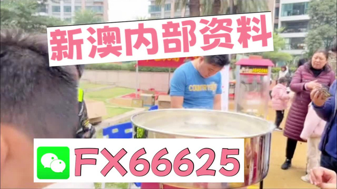 澳門正版免費(fèi)全年資料大全旅游團(tuán)，探索澳門之旅的完美指南，澳門旅游團(tuán)指南，正版免費(fèi)全年資料大全，探索澳門之旅的完美選擇