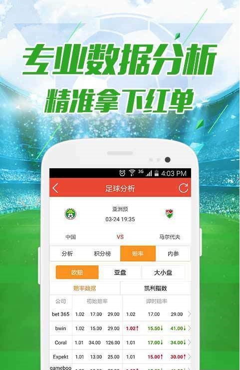 澳門正版資料大全資料貧無擔(dān)石，深度解析與探索，澳門正版資料深度解析與探索，貧無擔(dān)石之謎
