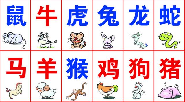 澳門精準(zhǔn)資料大全免費資料 什么生肖沒列入仙班，澳門精準(zhǔn)資料大全揭秘，未列入仙班的生肖揭秘