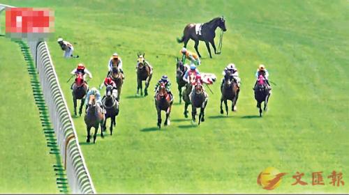 香港資料大全正版資料2025年免費四柱，馬報熱門資訊概覽，香港資料正版資訊概覽，四柱預(yù)測與馬報熱門資訊免費解讀
