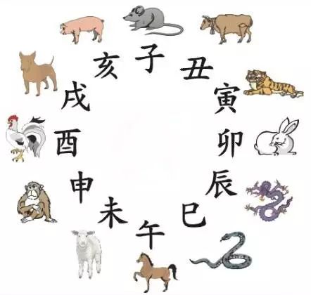 澳門天天彩期期精準(zhǔn)十二生肖，揭秘彩票背后的秘密，揭秘彩票背后的秘密，澳門天天彩期期精準(zhǔn)的十二生肖預(yù)測