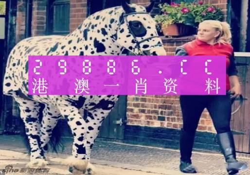澳門王中王一肖一特一中大揭秘，澳門王中王，一肖一特一中神秘揭秘