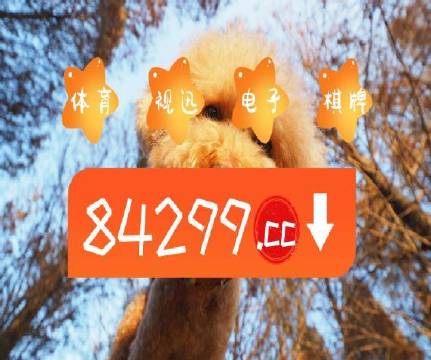 新澳門天天彩免費提供，澳門天天彩最新免費資訊分享