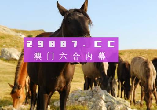 澳門管家婆一肖一碼2025年，揭秘與解析，澳門管家婆一肖一碼揭秘與解析，探尋未來(lái)的預(yù)測(cè)與解析