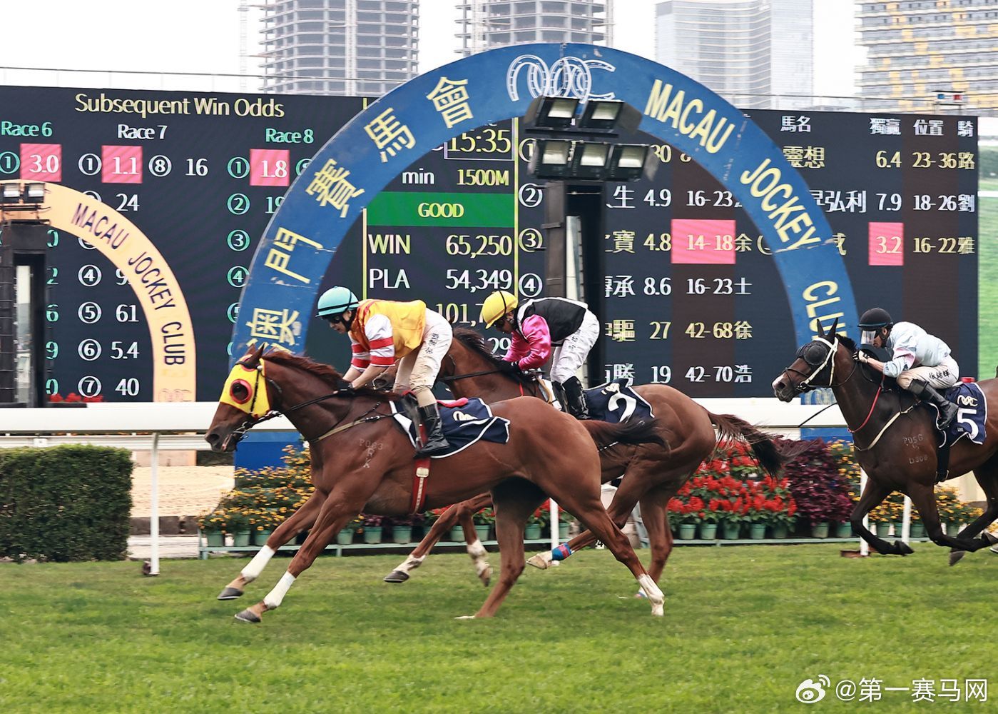 新澳門馬料免費大全——探索澳門馬料最新資訊，澳門馬料最新資訊大全，免費探索澳門馬料精彩世界