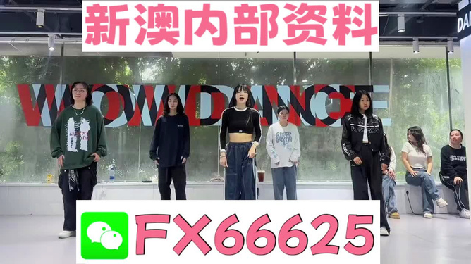 探索管家婆一票一碼資料，數(shù)字化時代的智能管理新篇章，數(shù)字化時代下的智能管理新篇章，探索管家婆一票一碼資料解析