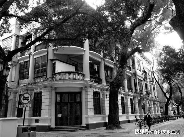 澳門達(dá)家婆一肖一馬一中一特，探尋神秘文化魅力，澳門達(dá)家婆文化探尋，神秘生肖與特馬魅力