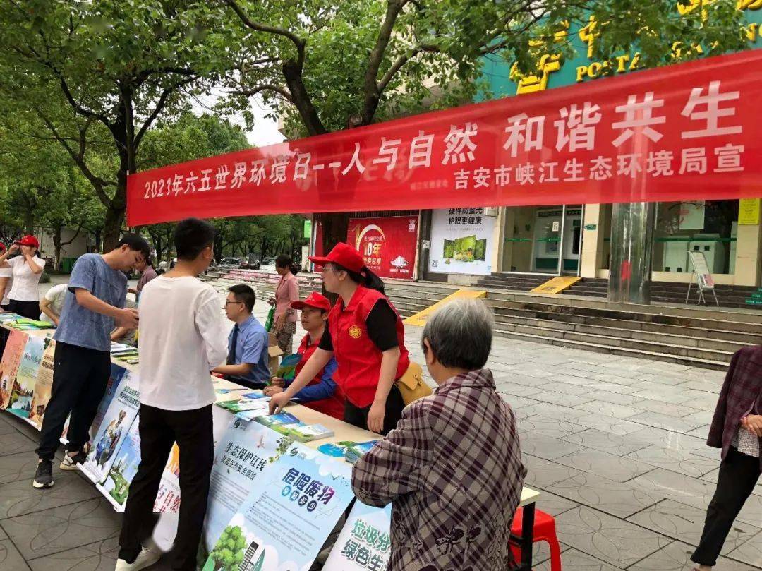 澳門六今晚開什么特馬，澳門今晚特馬開獎結(jié)果揭曉