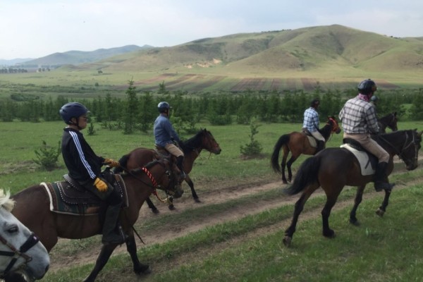 澳門今晚開特馬 開獎(jiǎng)結(jié)果走勢圖，澳門特馬開獎(jiǎng)結(jié)果及走勢圖分析