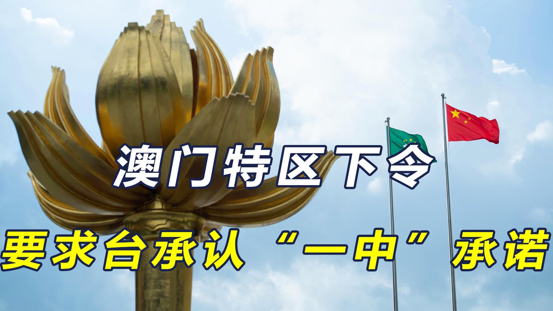 澳門一碼一肖一特一中直播結(jié)果，澳門直播結(jié)果揭曉，一碼一肖一特一中特輯