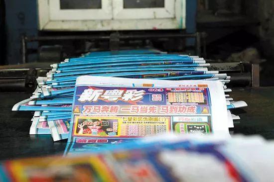 新粵門六舍彩資料正版，新粵門六舍彩正版資料解析