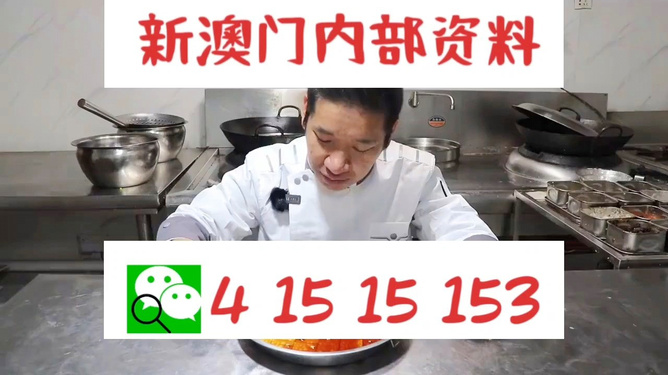 澳門管家婆資料一碼一特全解析，澳門管家婆資料一碼全解析揭秘