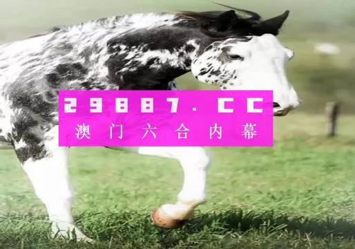 三肖一碼，三肖一碼揭秘
