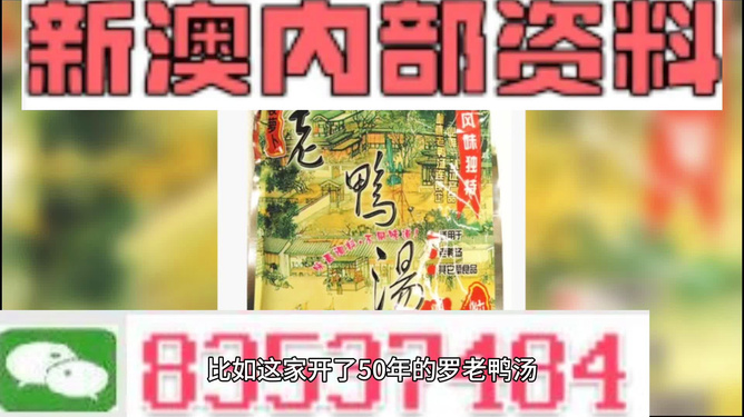 新澳正版資料與內(nèi)部資料的深度解析，新澳正版資料與內(nèi)部資料的深度剖析