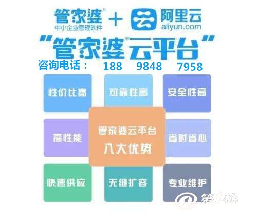 揭秘管家婆的資料一肖中特之謎，揭秘管家婆資料中的生肖特等獎(jiǎng)之謎